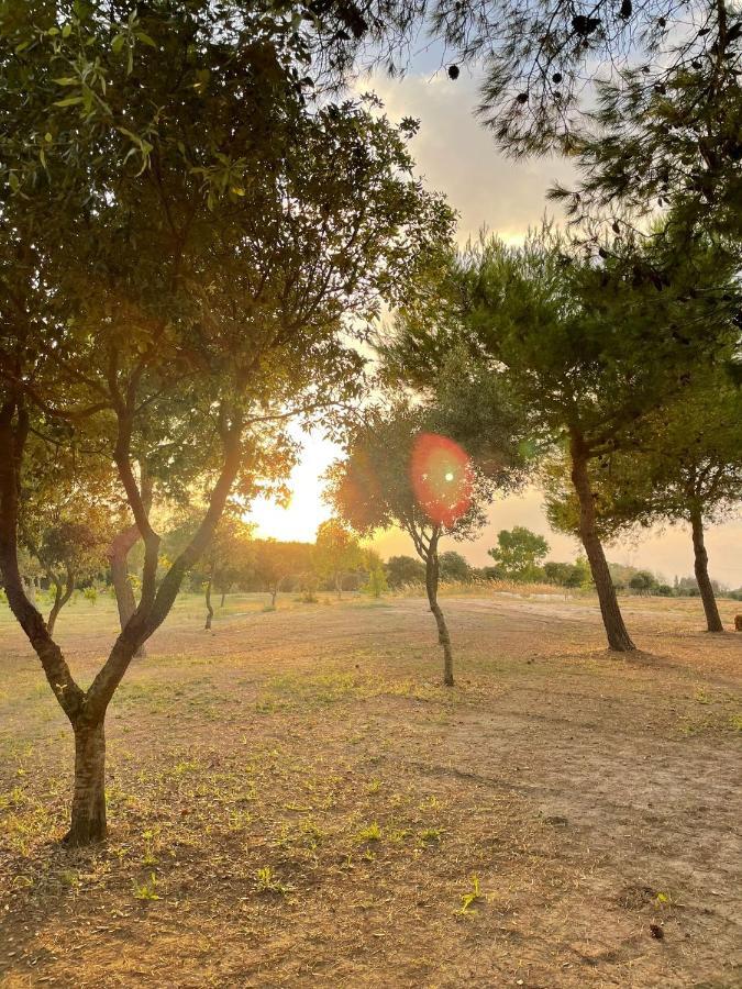 Agriturismo Tenuta Pozzello Torre dell'Orso Eksteriør bilde