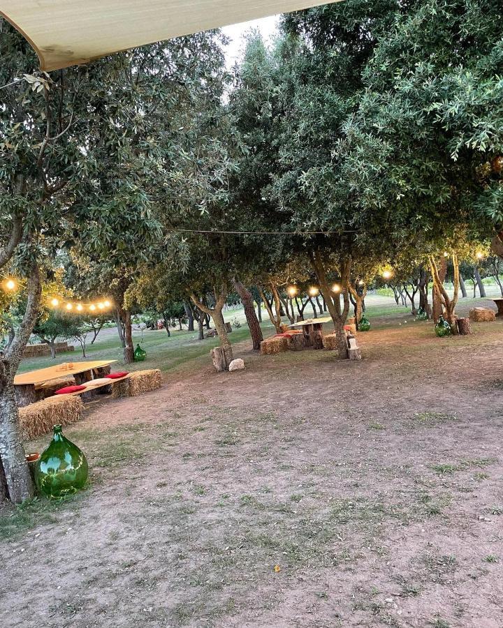 Agriturismo Tenuta Pozzello Torre dell'Orso Eksteriør bilde